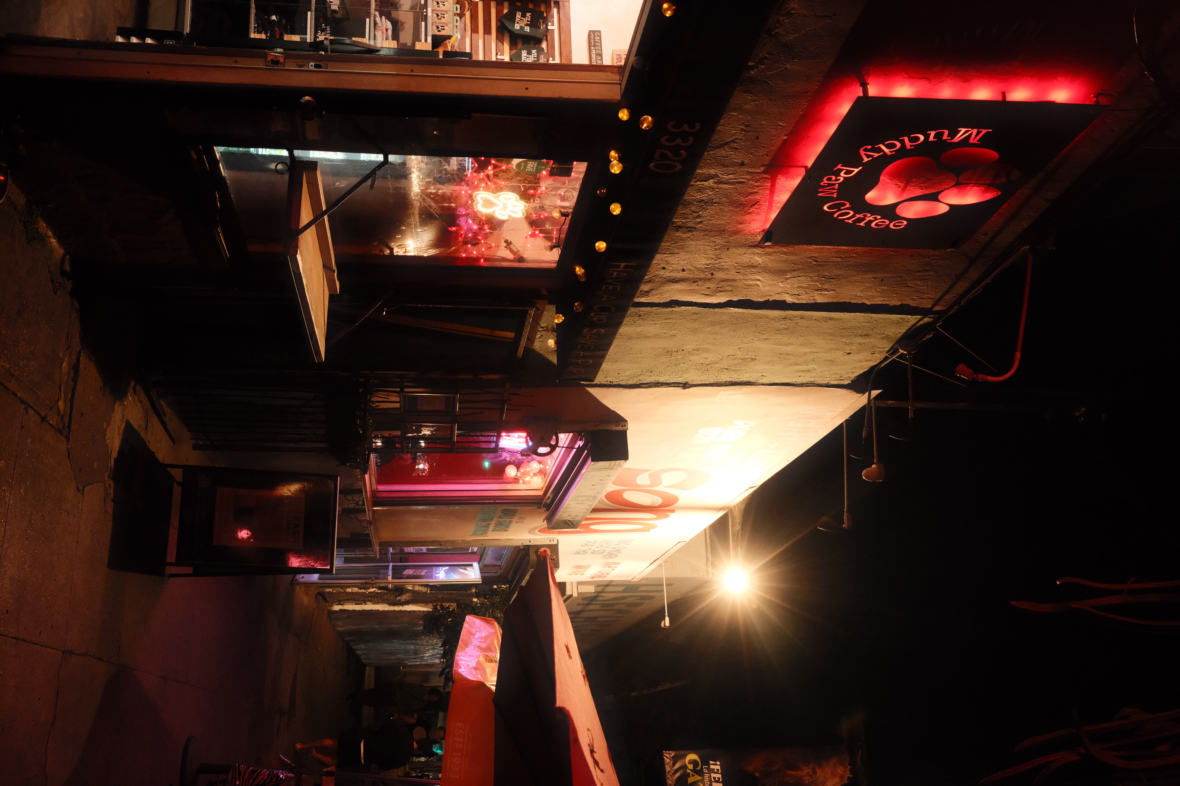 Neon-lit storefronts on Sunset Boulevard at night