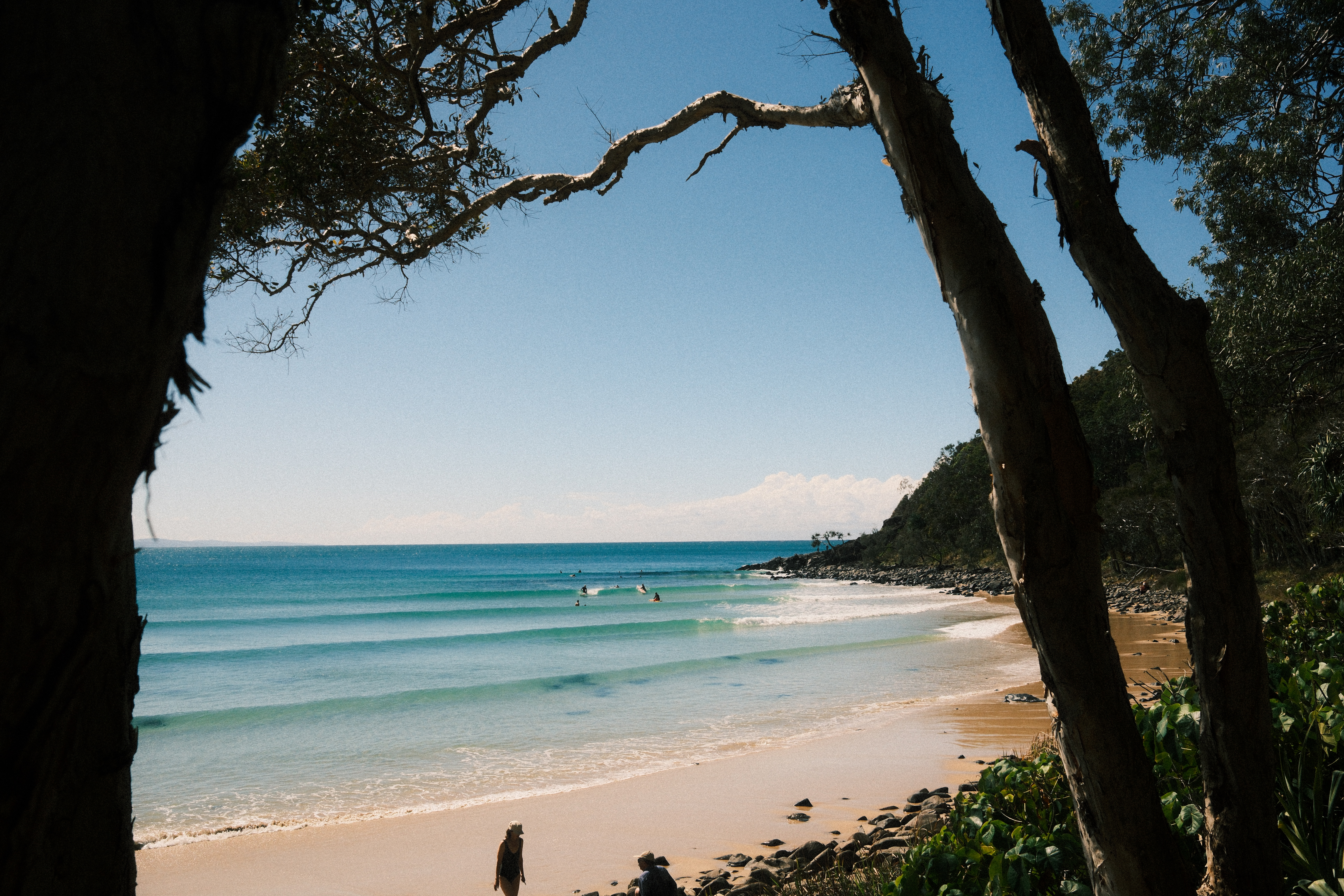 Tea Tree Bay through the trees